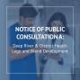 public consultation graphic