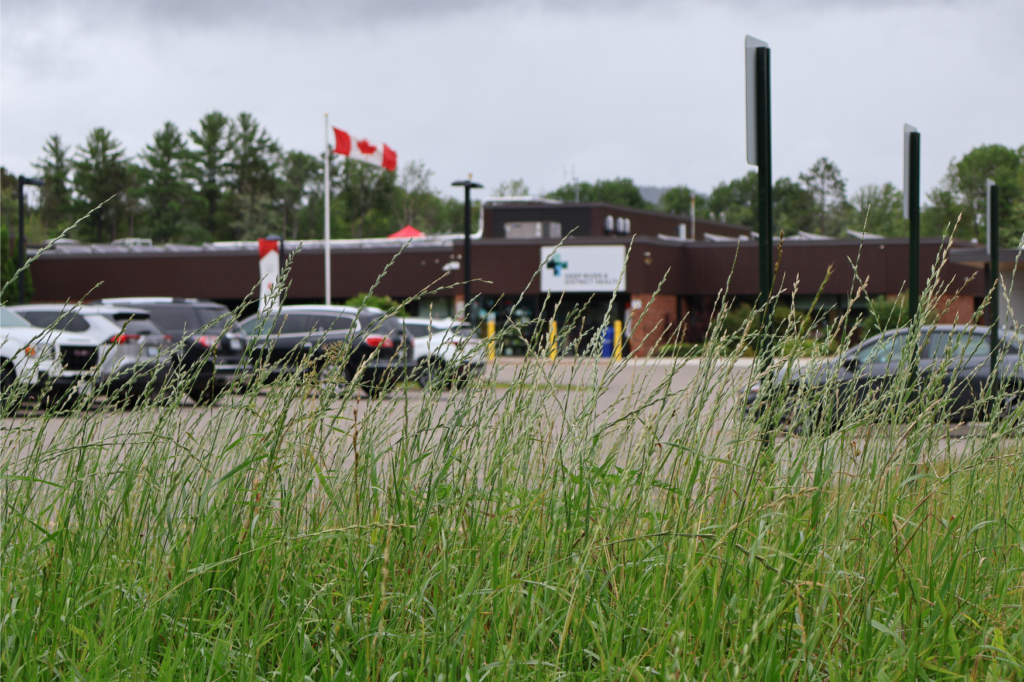 Long meadow grasses growing outside Deep River & District Health